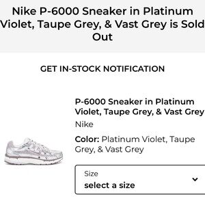 P-6000 Nike Silver and White Mesh Sneakers